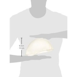 Fripac-Medis Silicon Highlighting Frosting Cap with Hook