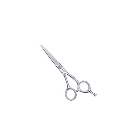 E-Kwip Elegance Hair Cutter Scissors 6.0-Inch Ergo Design