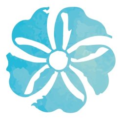 Acorelle Deo Roll-On Intensive Freshness 50ml