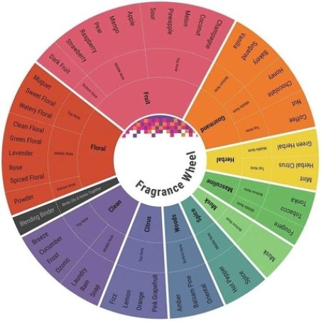Graphite Oud Edition de Montana