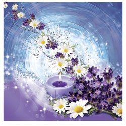 Bold 2in1 Washing Powder Lavender & Camomile 22 Washes 1.43kg