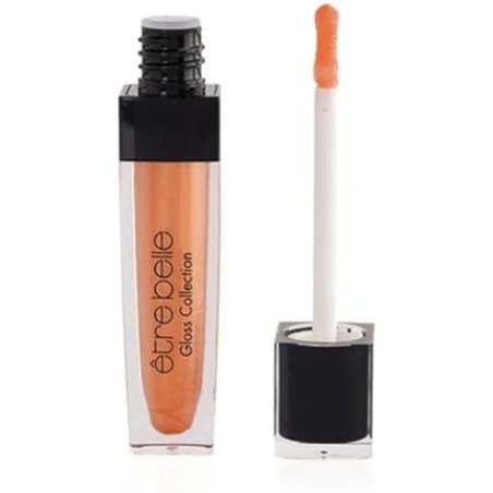 Etre Belle Gloss Collection Lipstick Nº 42