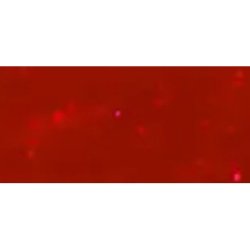 Opi Gelcolor Gel Nail Polish 15 Ml