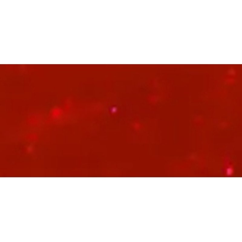 Opi Gelcolor Gel Nail Polish 15 Ml