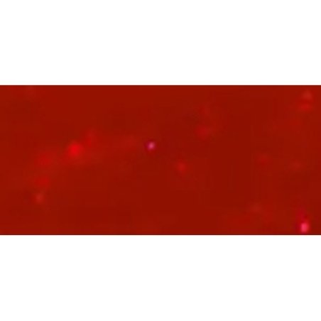 Opi Gelcolor Gel Nail Polish 15 Ml