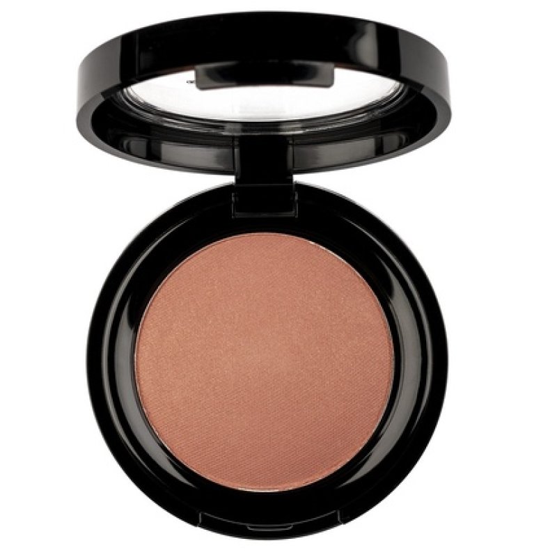 Pierre Rene Professional Blush Powder 07 6g