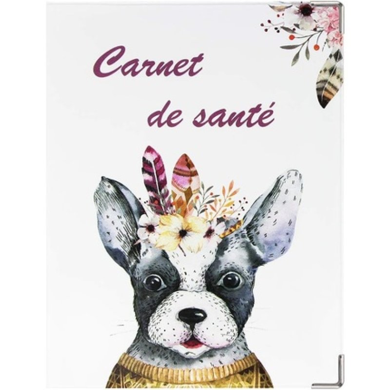 Color Pop Small Animal Health Record Case Made in France 18.5x
