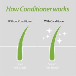 Plantur 39 Fine & Brittle Hair Conditioner 150ml