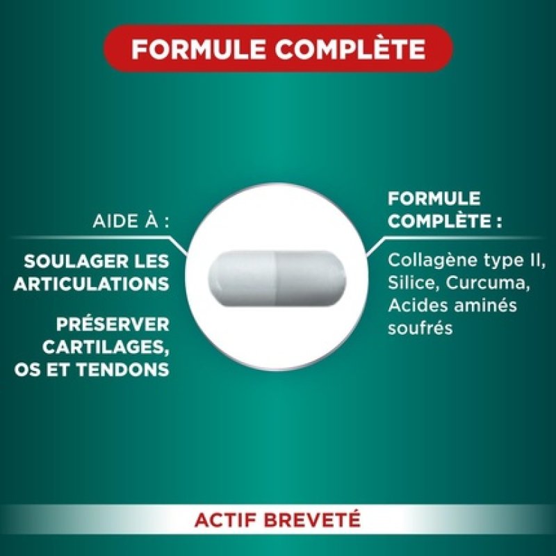 Forte Pharma Forteflex Joints Joint Food Supplement