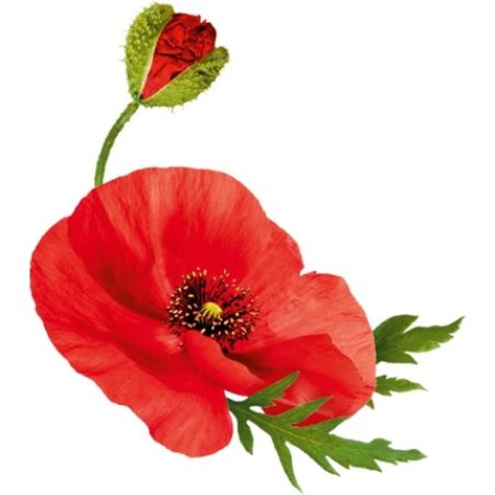 Guhl Color Retention and Care 250ml