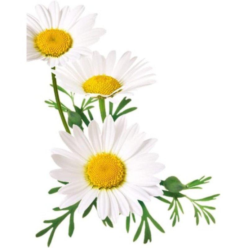 Guhl Colour Light Blonde Shampoo 250ml