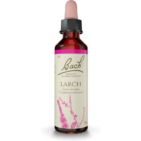 Bach Original Bach Flowers Larch No. 19 for More Safety