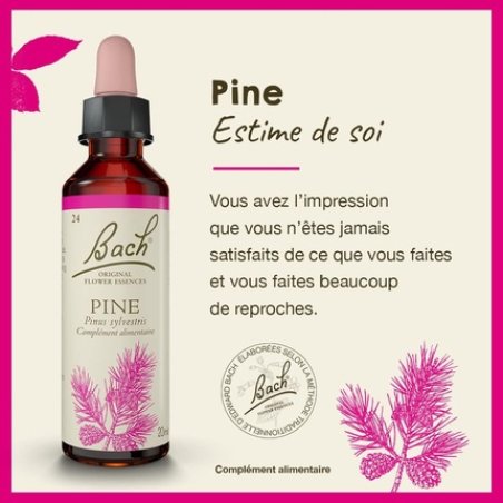 Fleurs De Bach Original Pine 20ml