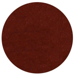 Parisax Matte Eyeshadow Wild Earth - Professional Quality