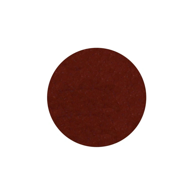 Parisax Matte Eyeshadow Wild Earth - Professional Quality