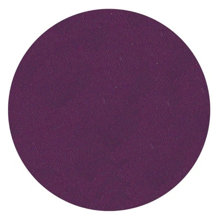 Parisax Matte Purple Iridescent Eyeshadow