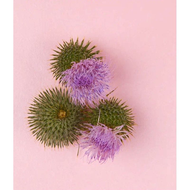 Nivea Naturally Good Anti-Age Night Cream 50ml