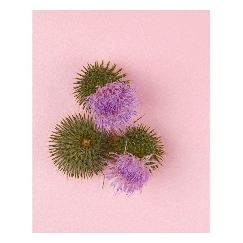 NIVEA Naturally Good Anti-Age Day cream Face 50 ml