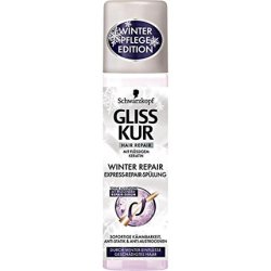 Winter Repair Express Repair Conditioner