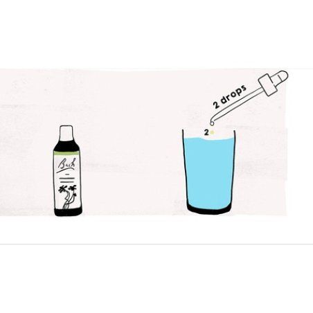 Nelsons Bach Flower Cerato 50ml