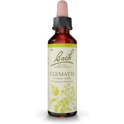 Fleurs De Bach Original Clematis 20ml