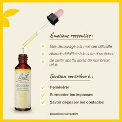 Fleurs De Bach Original Gentian 20ml