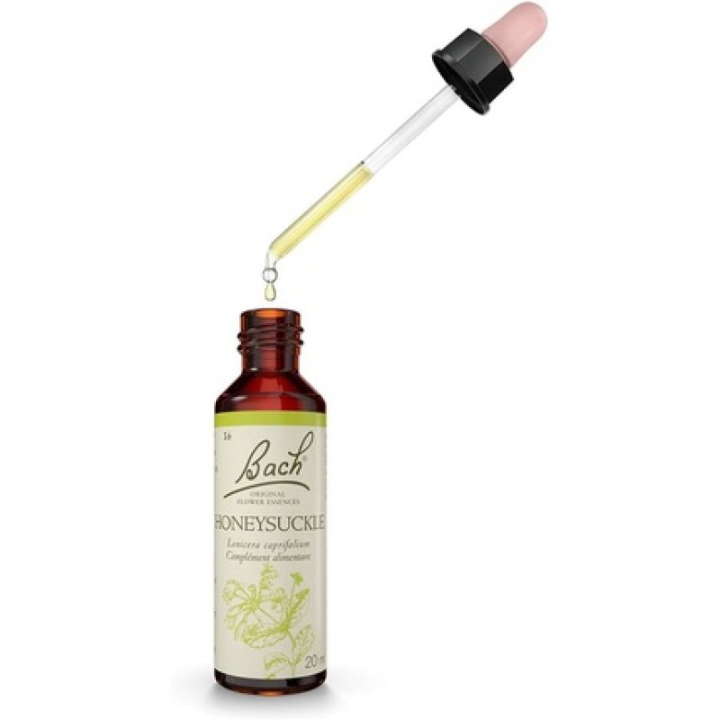 Bach Original Honeysuckle 16 for More Reality Helps Leave The Past Behind Natural Floral Elixir for Emotional