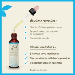 Fleurs De Bach Original Vervain 20ml