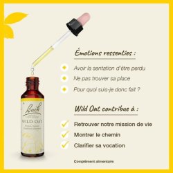 Fleurs De Bach Original Wild Oat 20ml