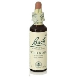 Wild Rose Bach Flowers 20 Ml Original Bach Flowers