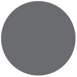 Parisax Matte Eyeshadow Light Gray - Professional Quality