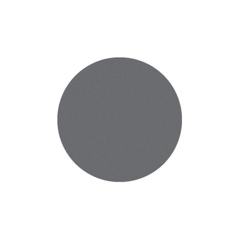 Parisax Matte Eyeshadow Light Gray - Professional Quality