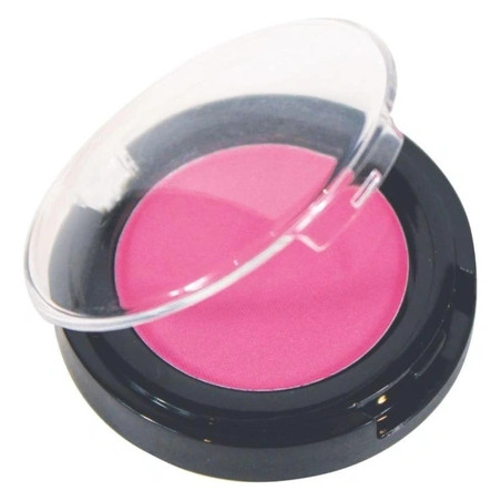 Parisax Empty Case For Eyeshadow