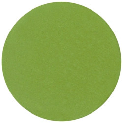 Parisax Matte Eyeshadow Light Green - Perfect For A Subtle Look