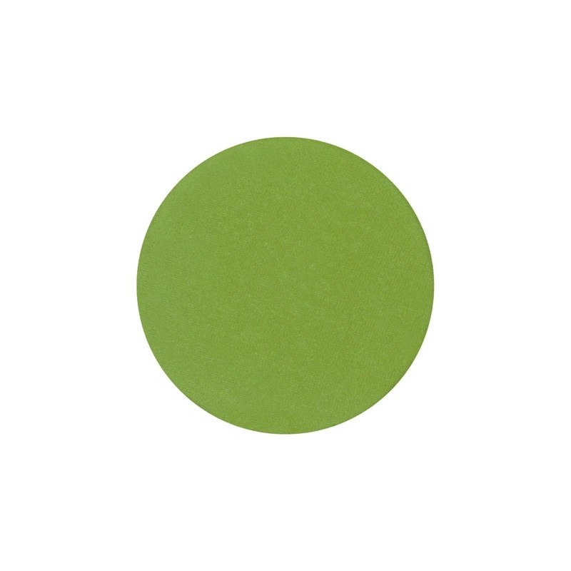 Parisax Matte Eyeshadow Light Green - Perfect For A Subtle Look