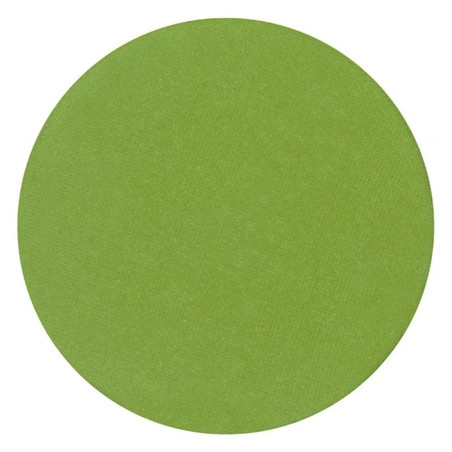 Parisax Matte Eyeshadow Light Green - Perfect For A Subtle Look