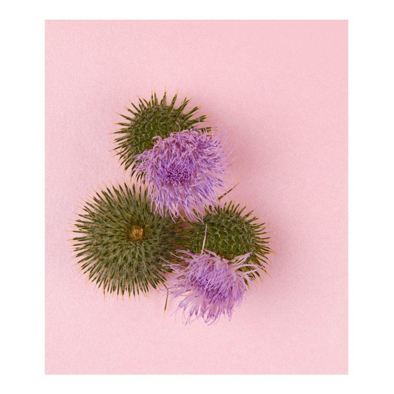 Nivea Naturally Good Anti-Age Day Cream 50ml