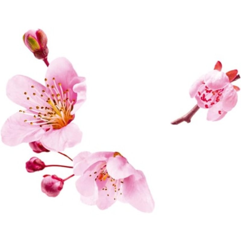 Guhl Rich Nutrition Cream Conditioner