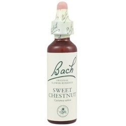 Bach Original Flower Remedies Sweet Chestnut 20ml X 2 Pack Of 2