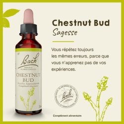 Fleurs De Bach Original Chestnut Bud 20ml