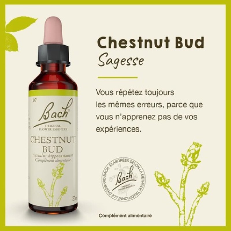 Fleurs De Bach Original Chestnut Bud 20ml