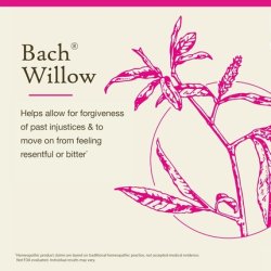 Bach Original Flower Essences Willow 20ml