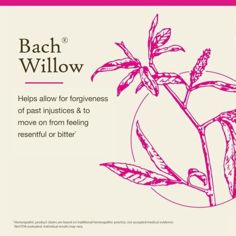 Bach Original Flower Essences Willow 20ml