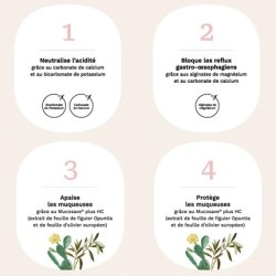 Belloc Gastric Reflux Sticks 12 - 4 in 1 Neutralizes, Blocks, Protects, Soothes