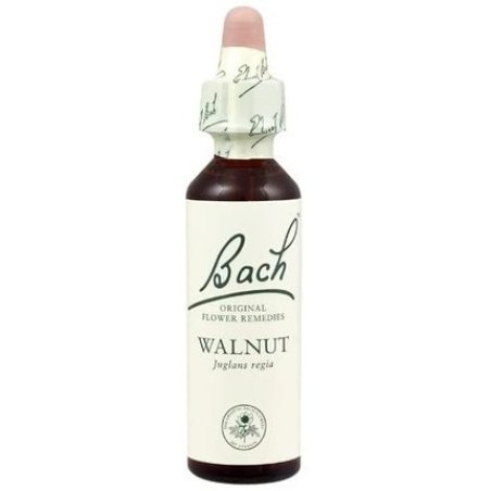 Bach Original Flower Remedies Walnut 20ml - Pack of 2
