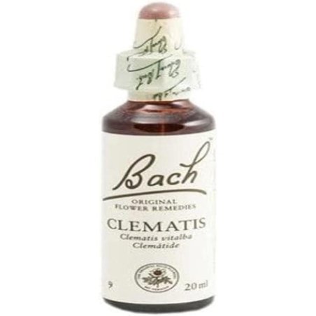 Bach Flower Clematis 20ml Glass Dropper Bottle