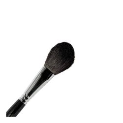 Parisax Blush Brush 20x40mm