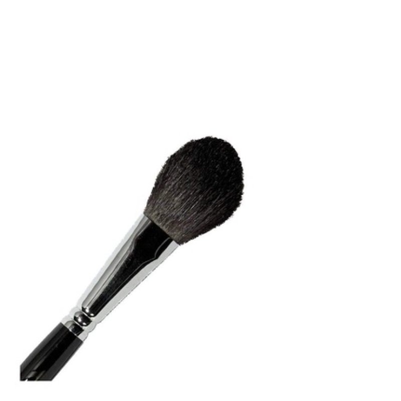 Parisax Blush Brush 20x40mm
