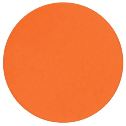 Parisax Matte Orange Eyeshadow
