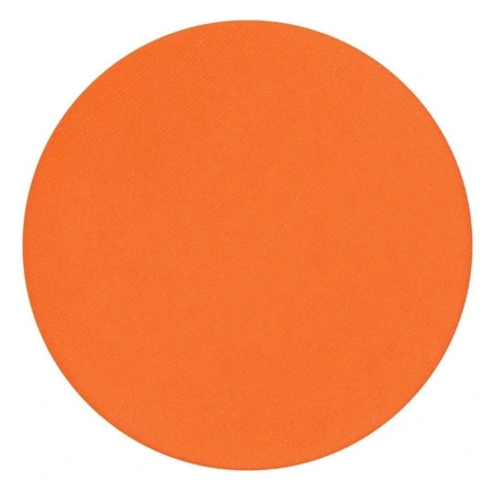 Parisax Matte Orange Eyeshadow